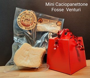 Mini CacioPanettone Fosse Venturi